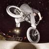 joeleegrant313